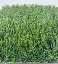 Изображение WhatsApp 2025-07-01 в 16.52.12_f764e0424